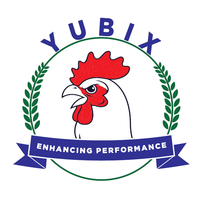 Yubix Consultancy